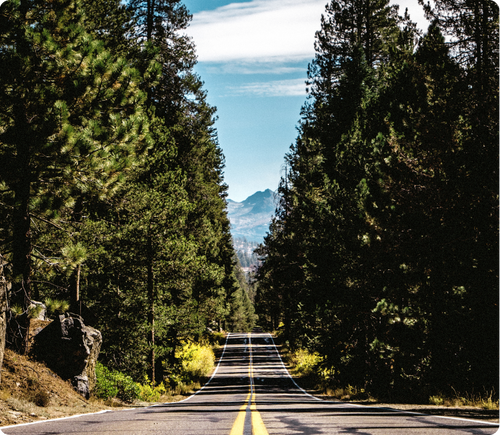 This Car Freshener Is Quietly Taking Over the Roads