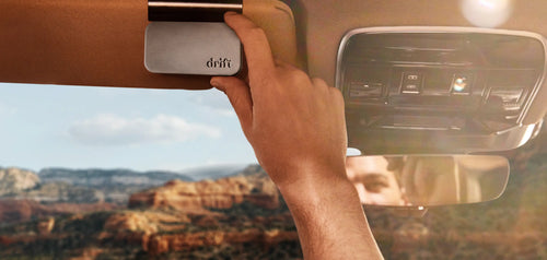 Pet-Safe Car Air Fresheners: Keep Your Car Fresh & Fido Happy