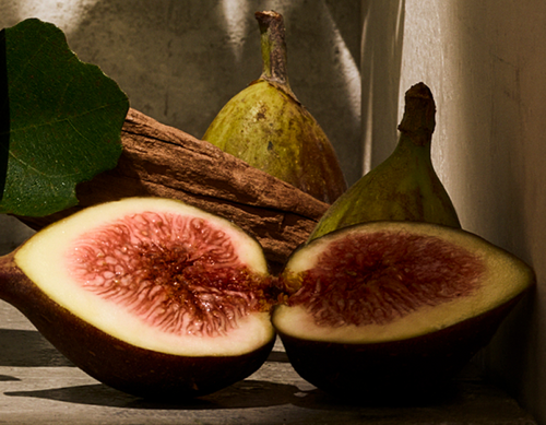 Fig Tree Metal Car Freshener Refill